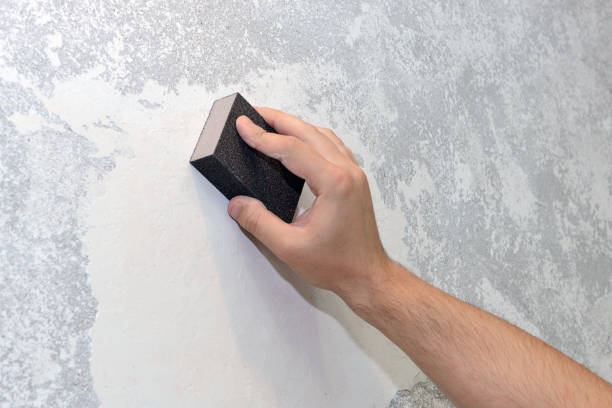 Best Water Damage & Mold Remediation  in Pleasant Hill, TX