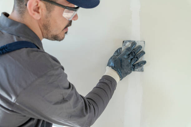 Best Mold Removal for HVAC Installations  in Pleasant Hill, TX