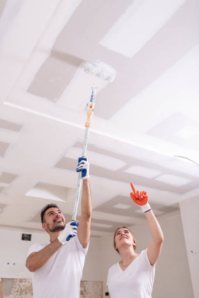 Environmental Consulting for Mold Prevention in Pleasant Hill, TX